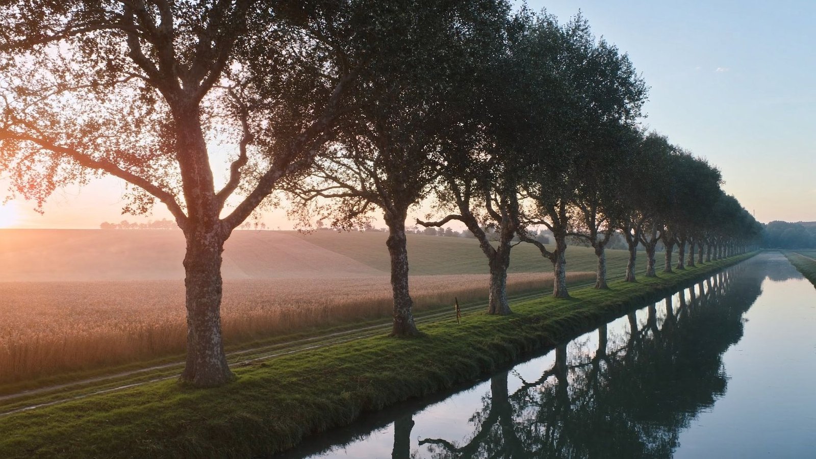 La lumière du soir sur le canal du Midi